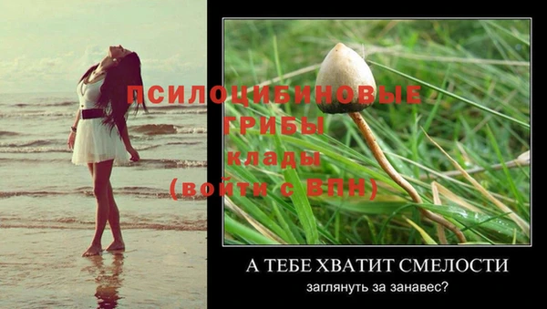 Альфа ПВП Козловка